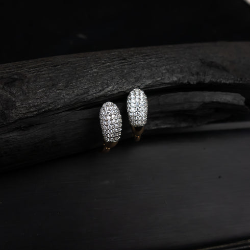 Enigmatic Elegance Clip Earrings - D118-1